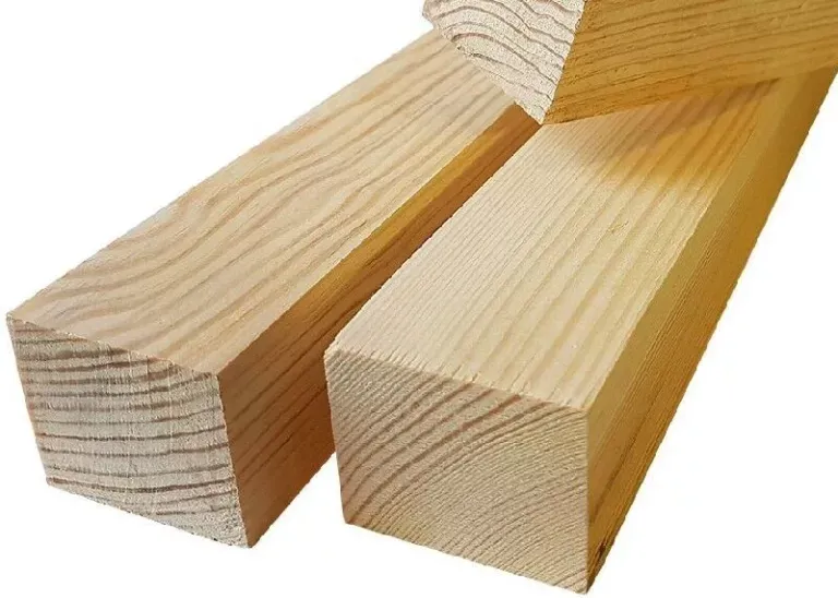 126_original-e1694872601751-768x548.webp